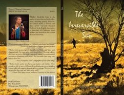 The Irreversible Sun